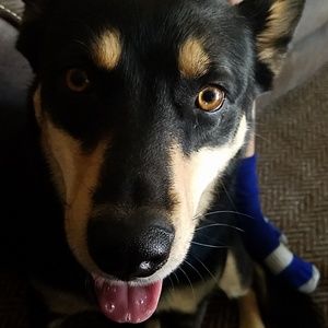 Meet your Posher, Michelle